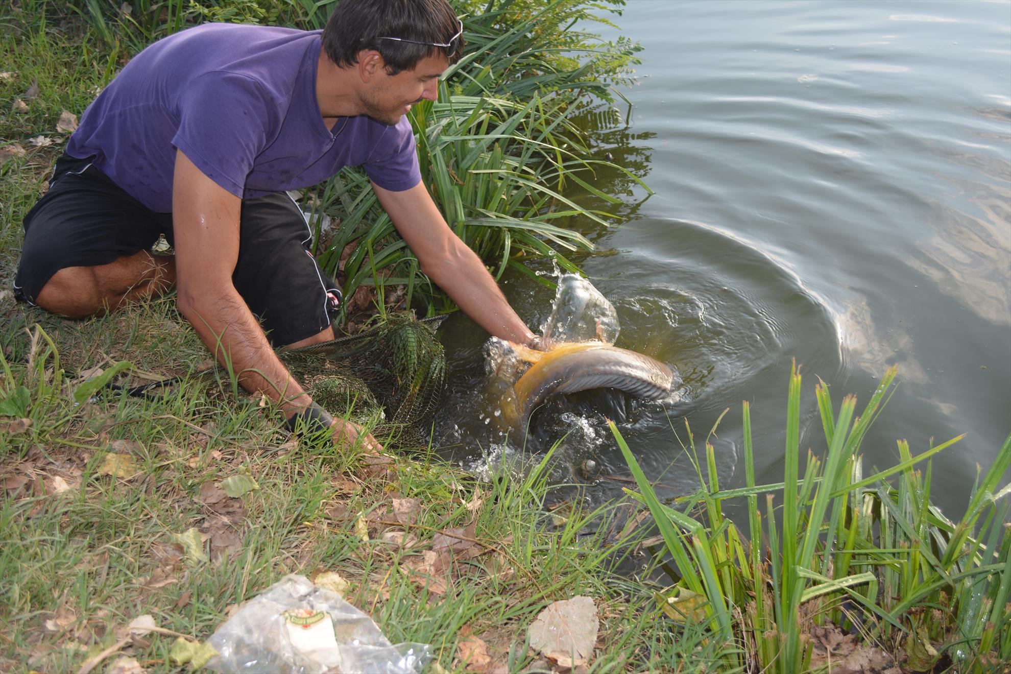 Hermes Peris 12 - 14 septembrie 2014 - dsc0215.JPG